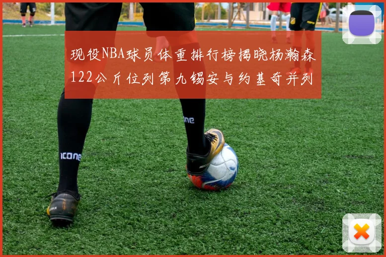 现役NBA球员体重排行榜揭晓杨瀚森122公斤位列第九锡安与约基奇并列第三